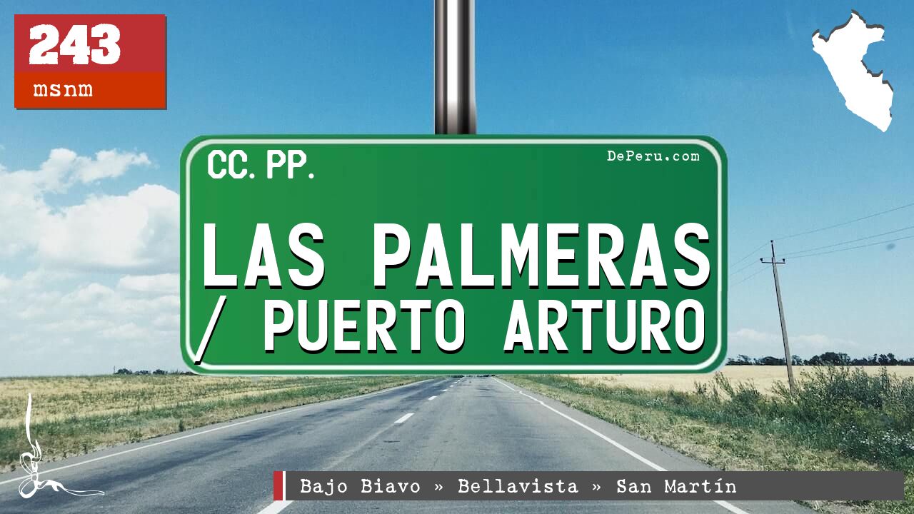 Las Palmeras / Puerto Arturo