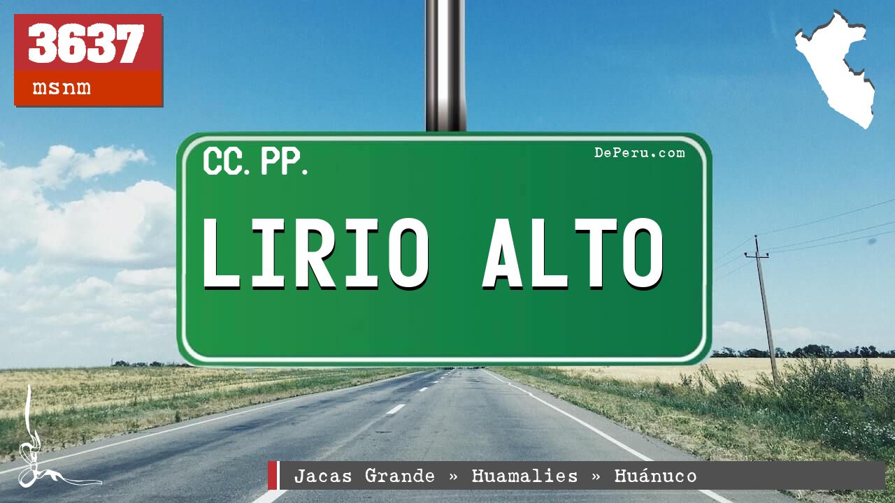 Lirio Alto