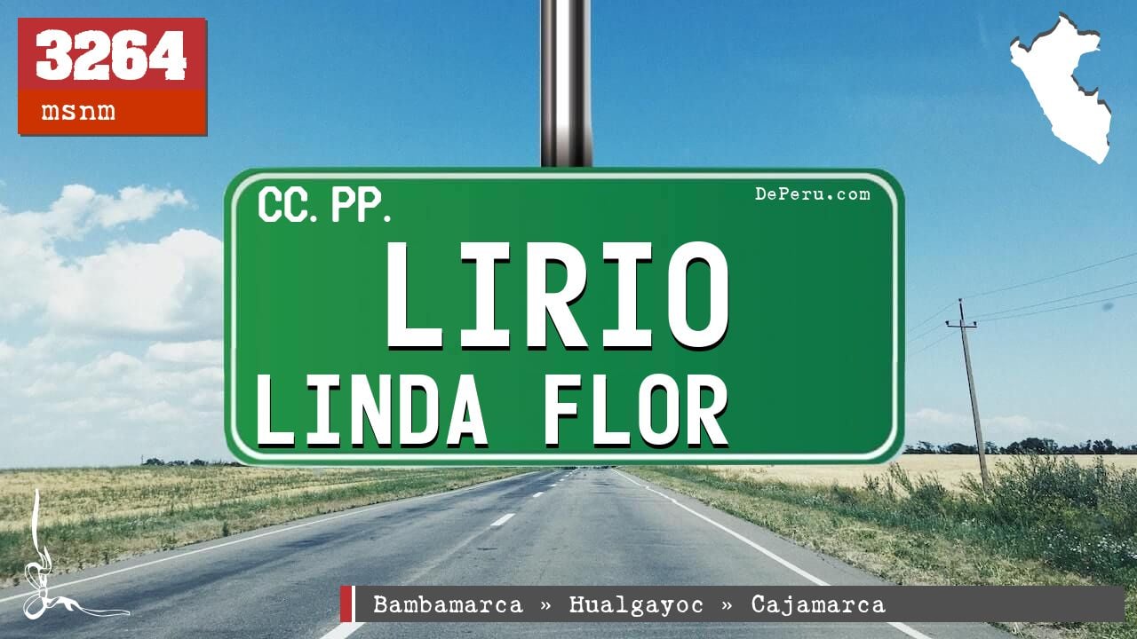 Lirio Linda Flor