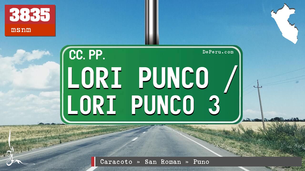 Lori Punco / Lori Punco 3