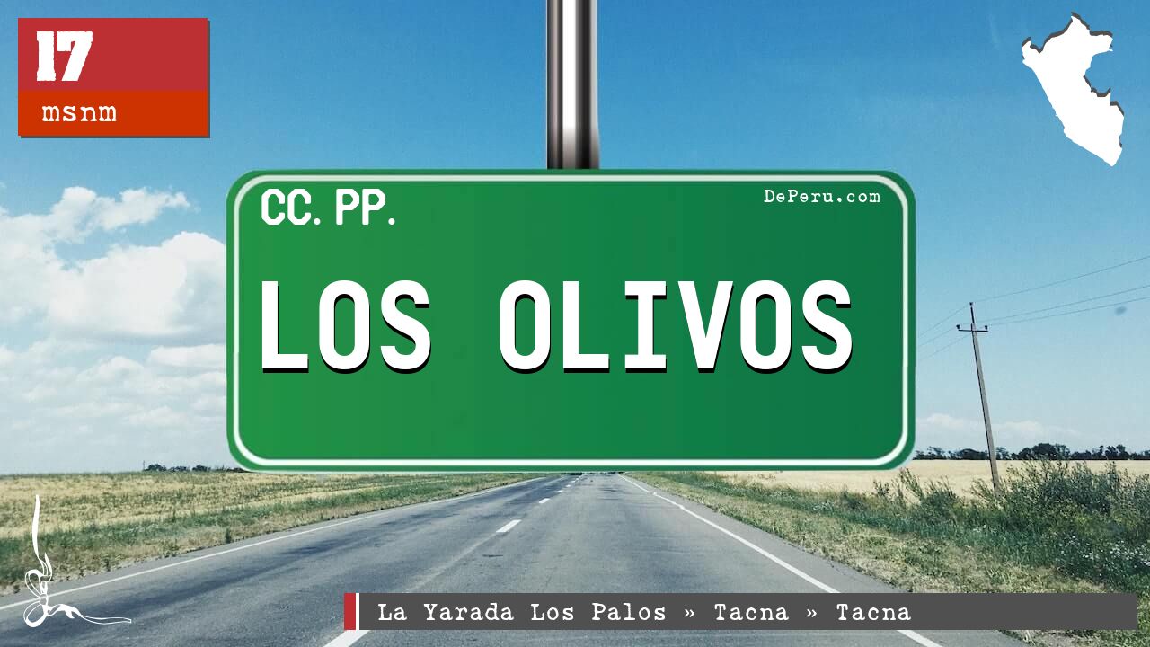 LOS OLIVOS