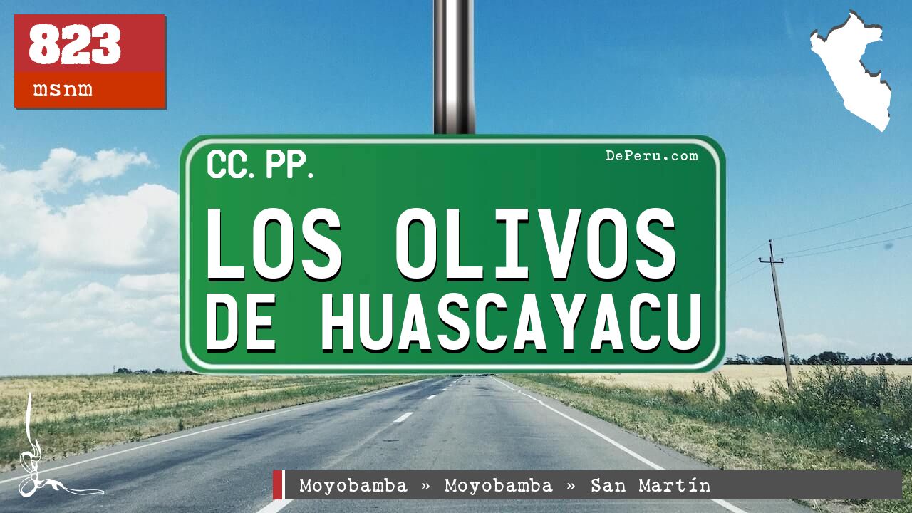 Los Olivos de Huascayacu