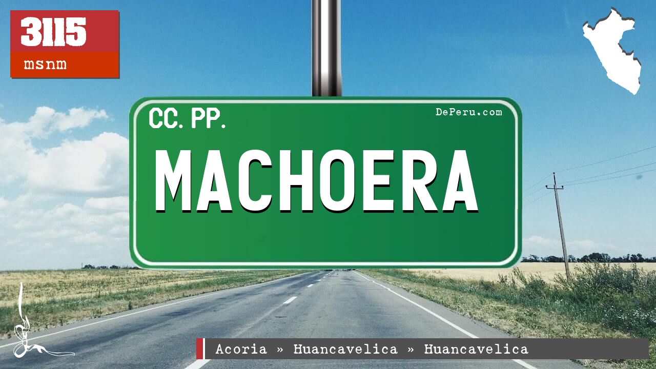 Machoera