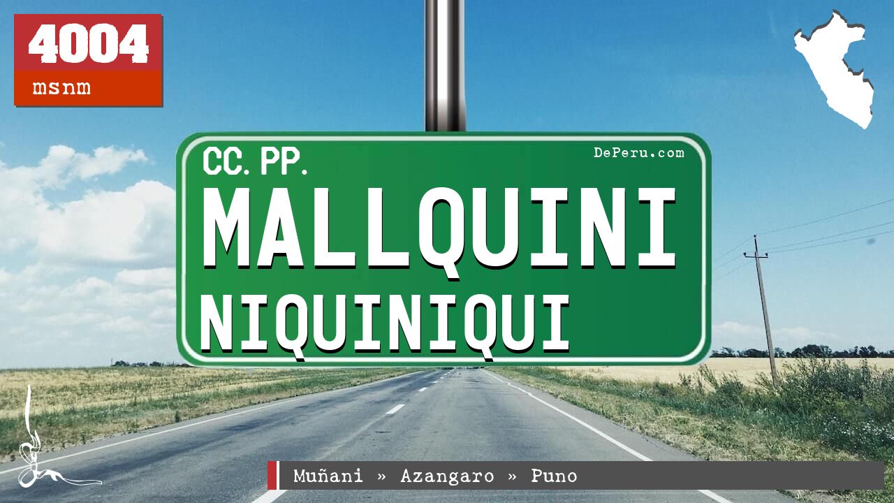 Mallquini Niquiniqui