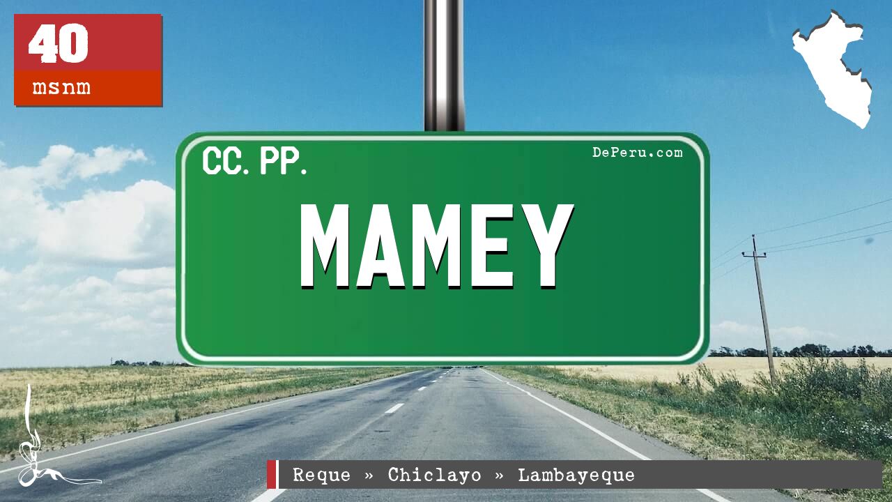 Mamey