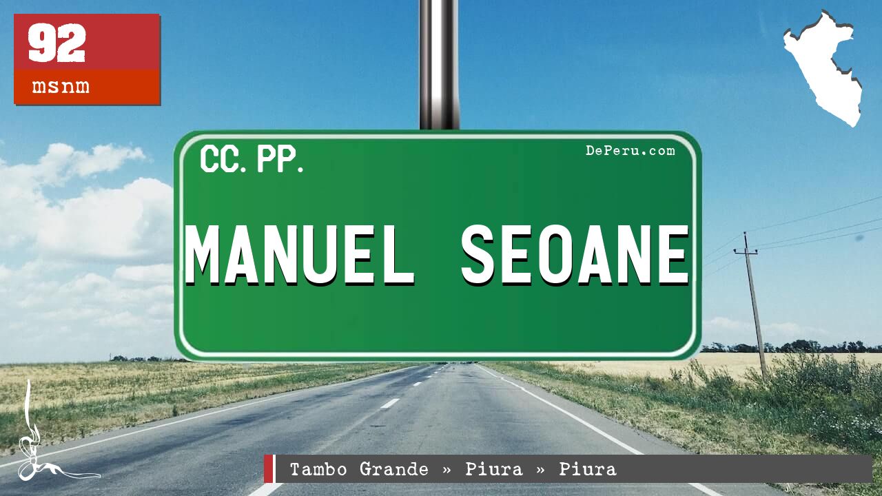 MANUEL SEOANE