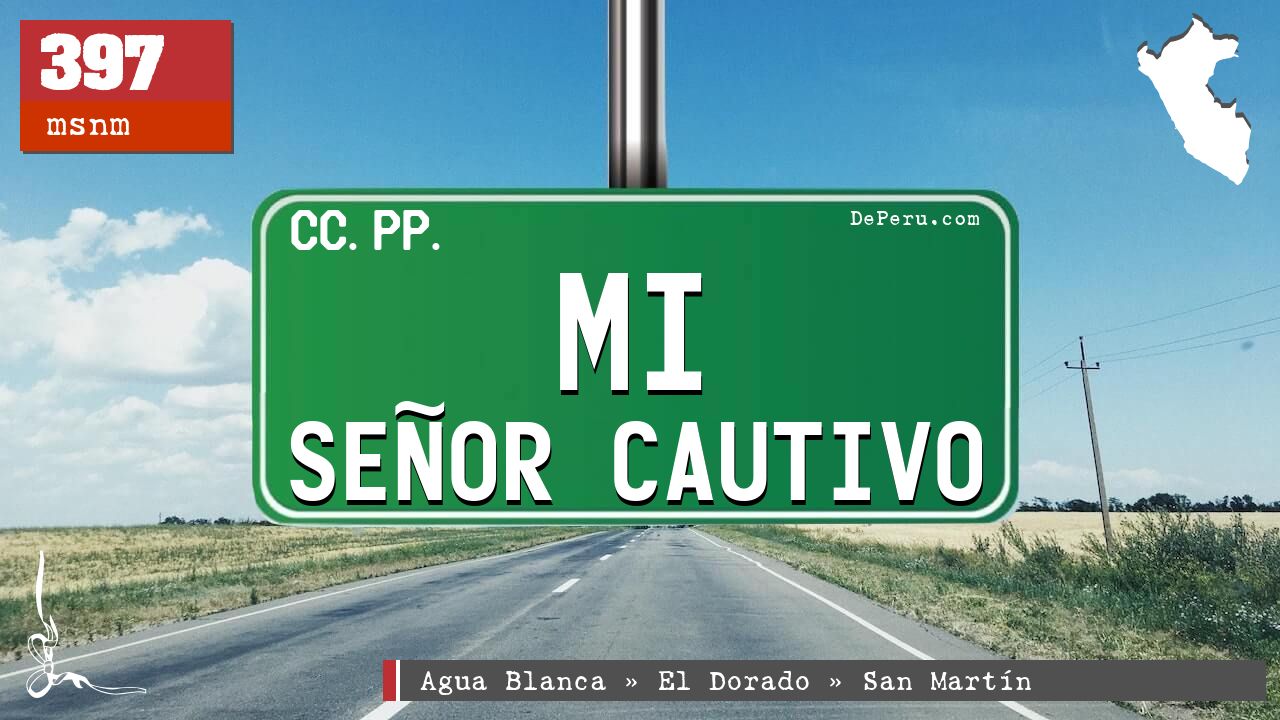 Mi Seor Cautivo