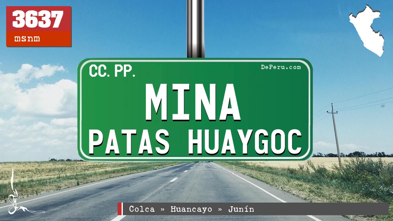 Mina Patas Huaygoc