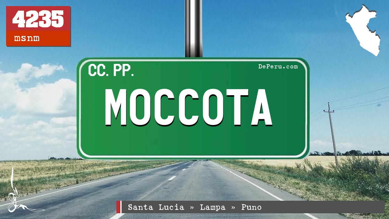 MOCCOTA