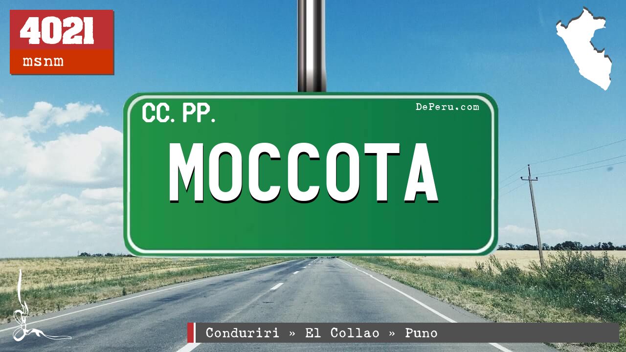 Moccota