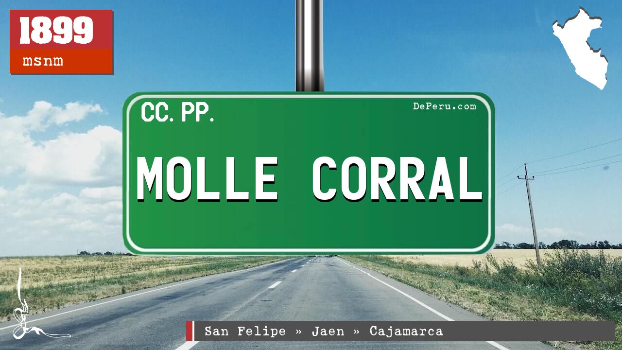MOLLE CORRAL