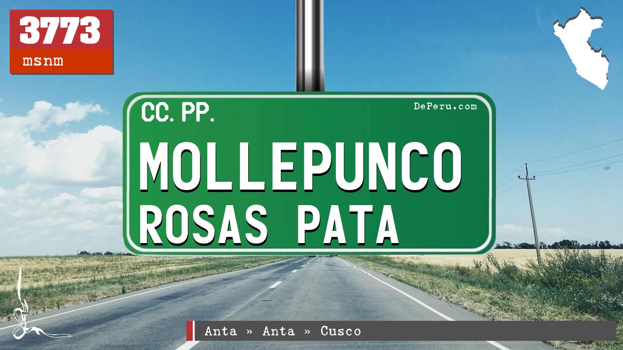 Mollepunco Rosas Pata