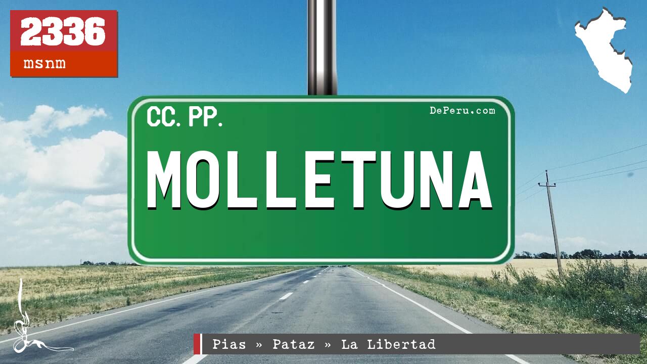 Molletuna