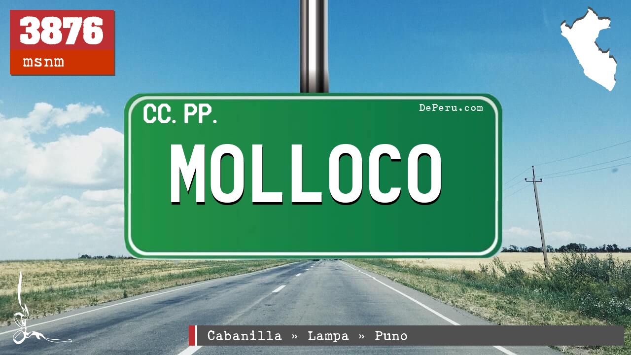 Molloco