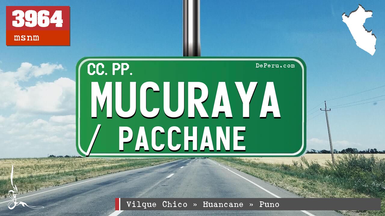 Mucuraya / Pacchane