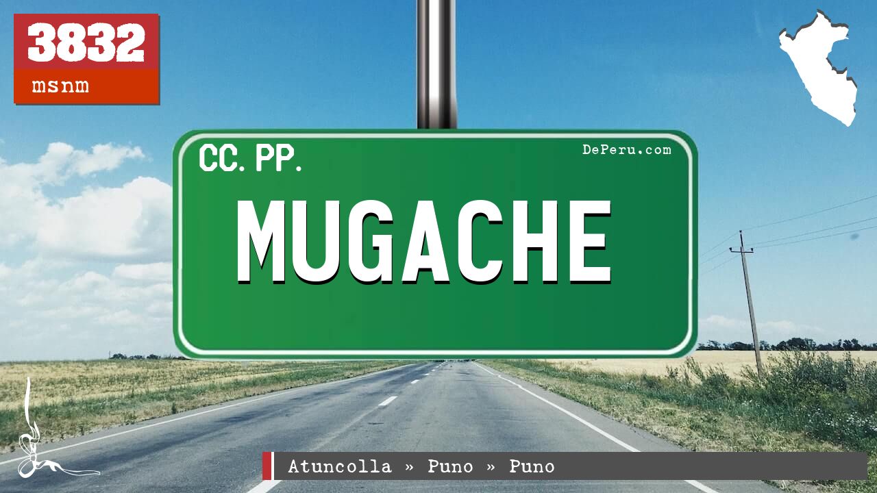 Mugache