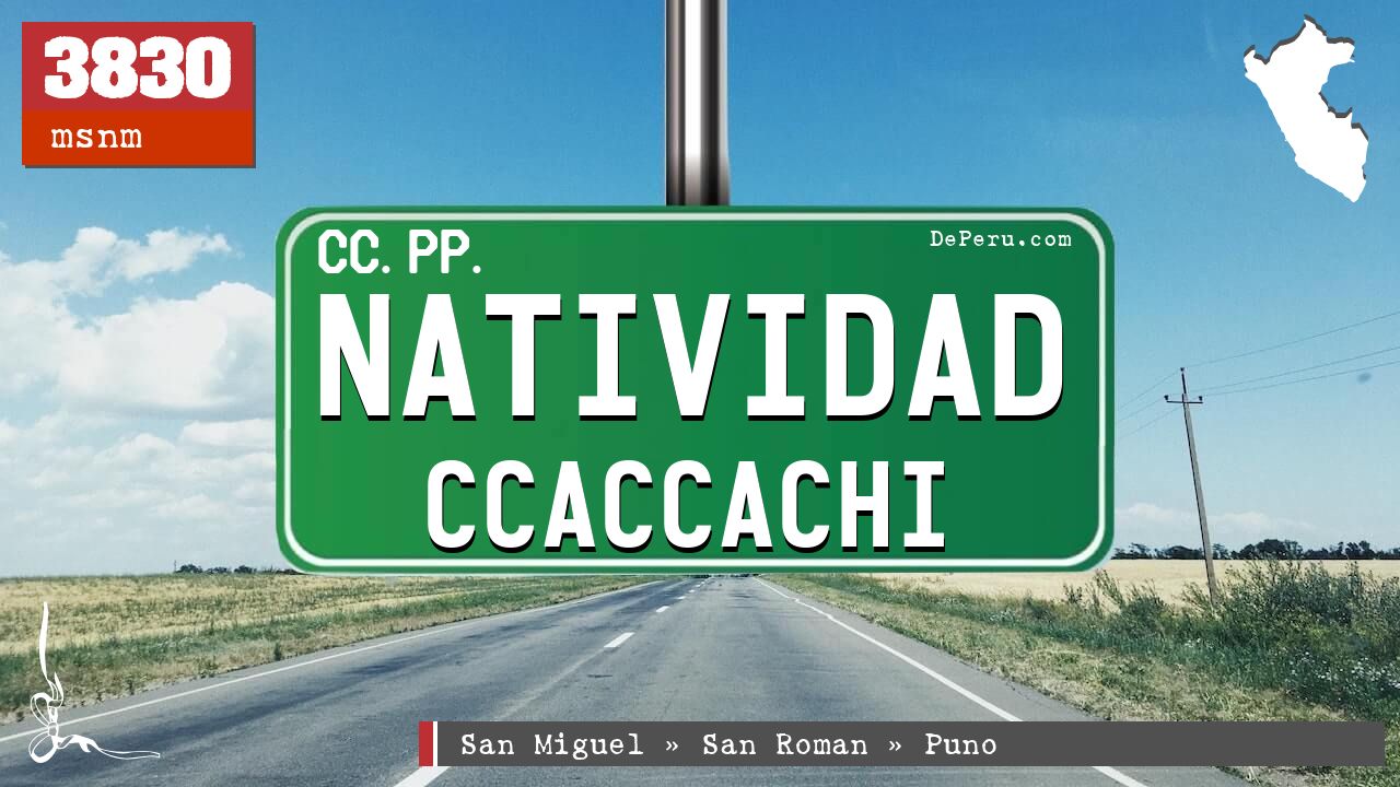 Natividad Ccaccachi