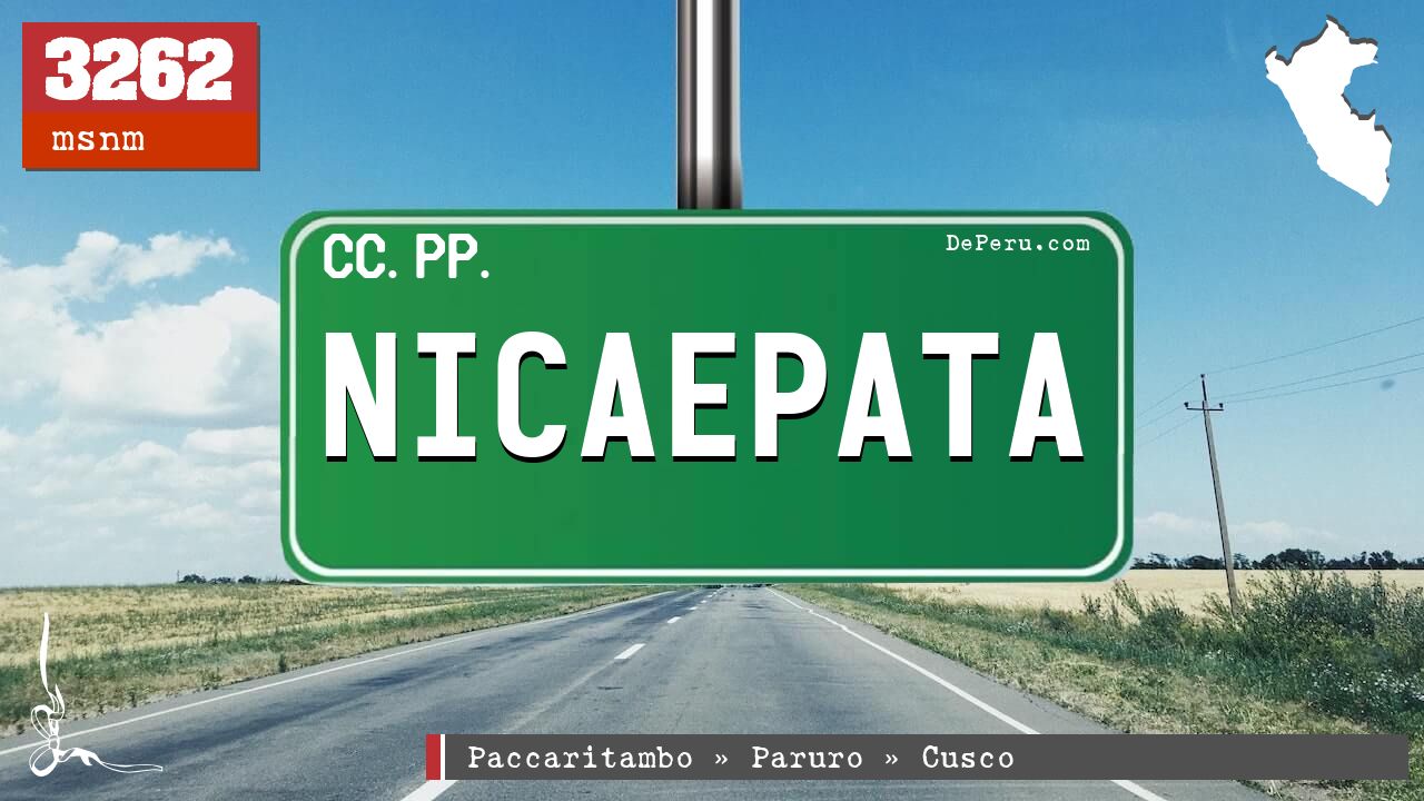 Nicaepata