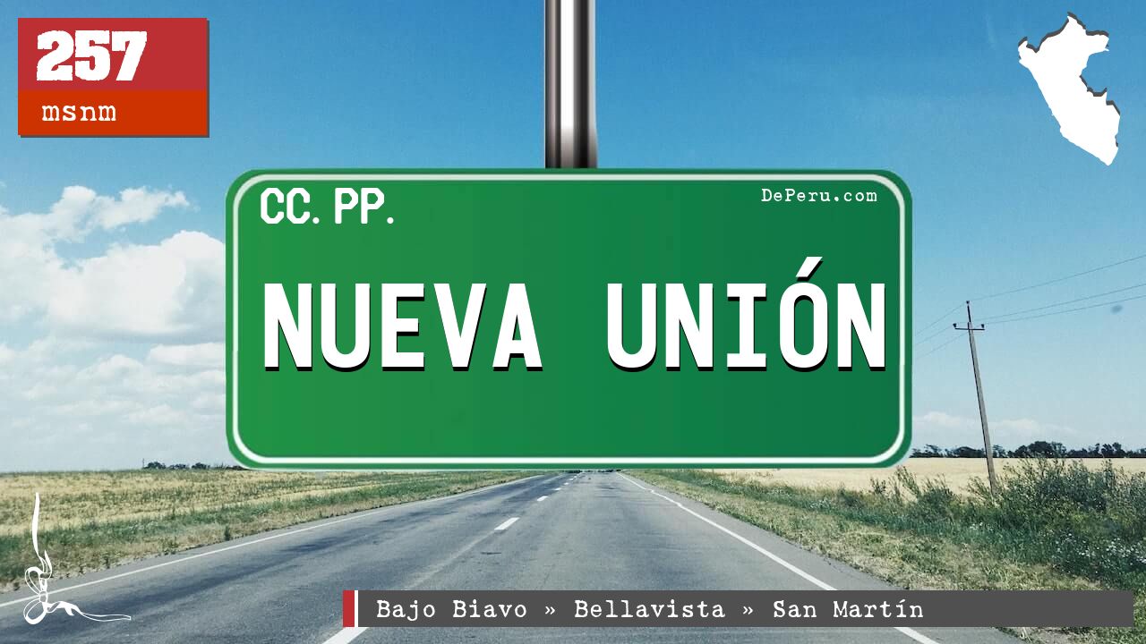 NUEVA UNIN