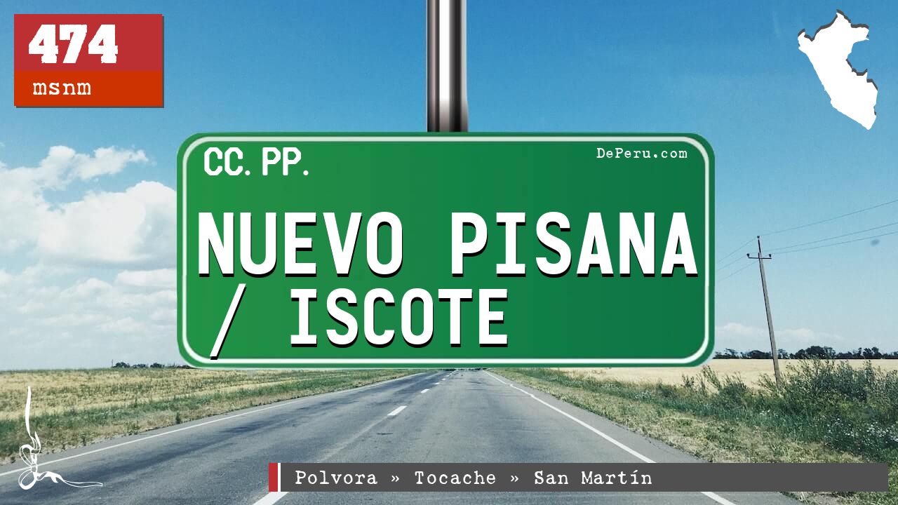Nuevo Pisana / Iscote