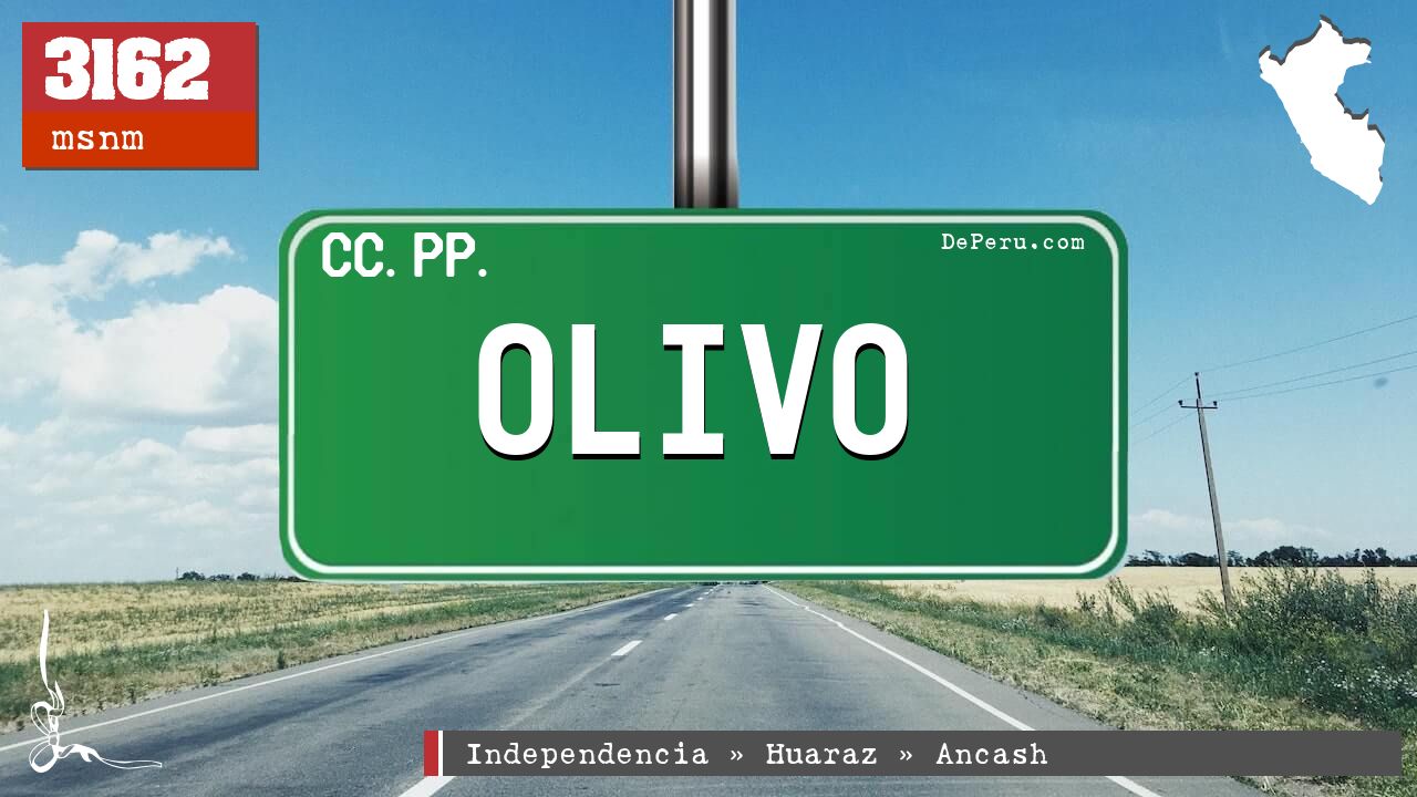 Olivo