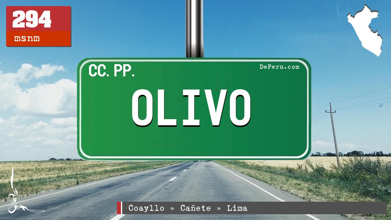 OLIVO