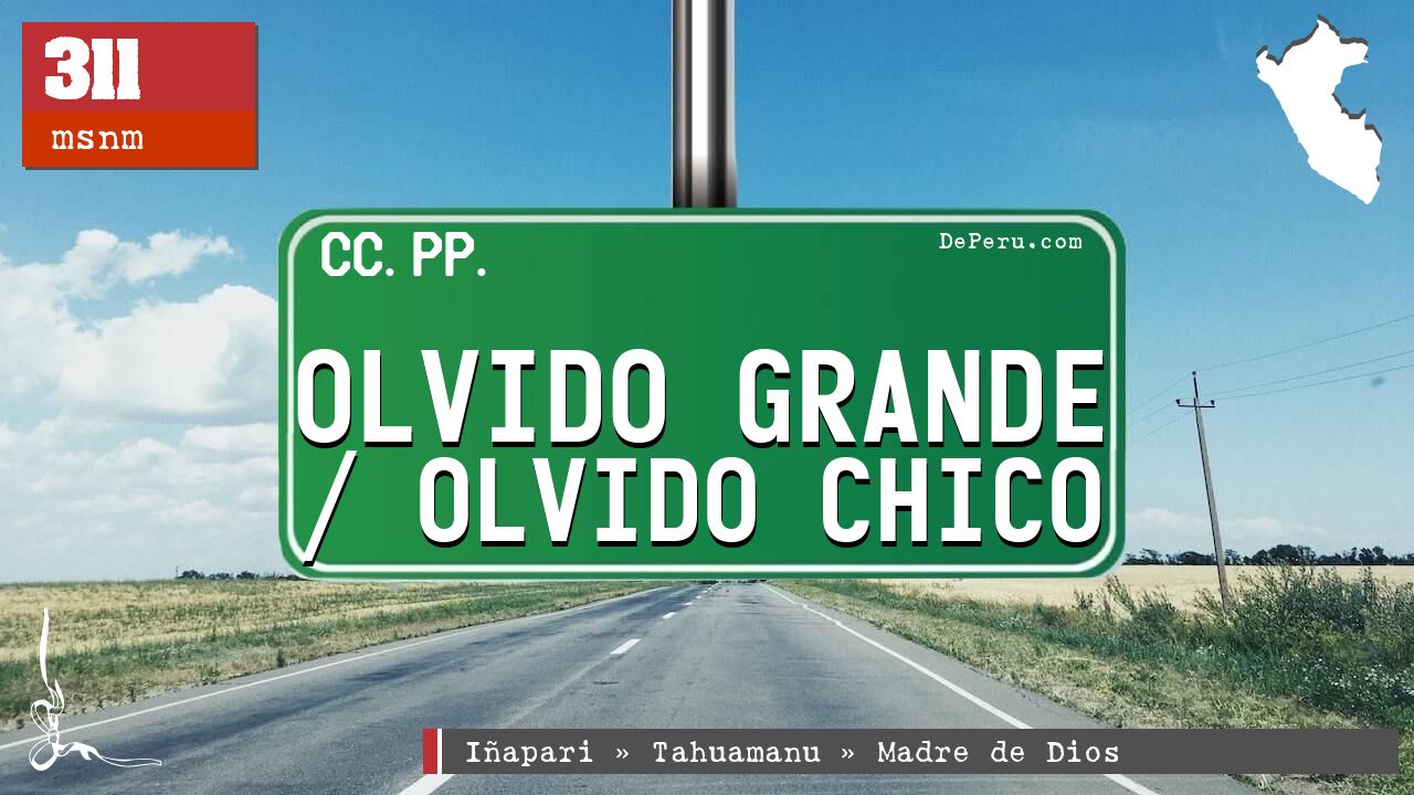 Olvido Grande / Olvido Chico