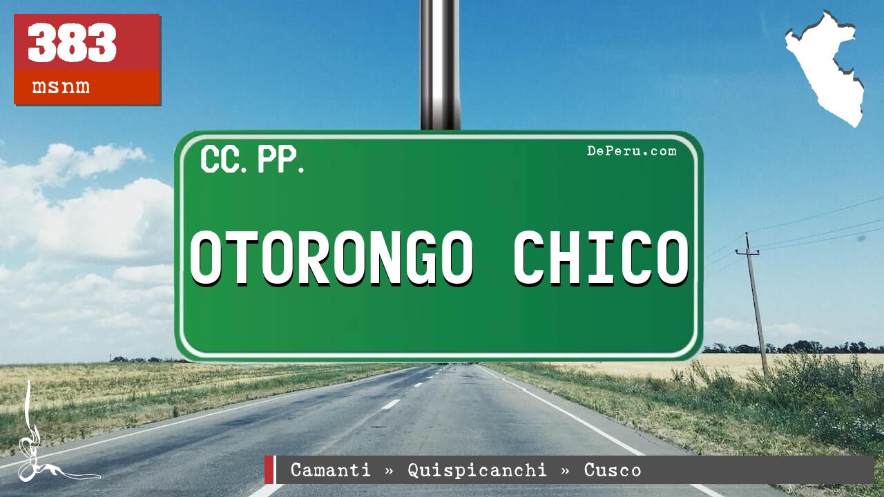OTORONGO CHICO