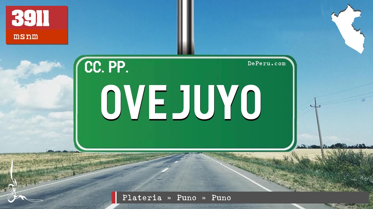 Ovejuyo