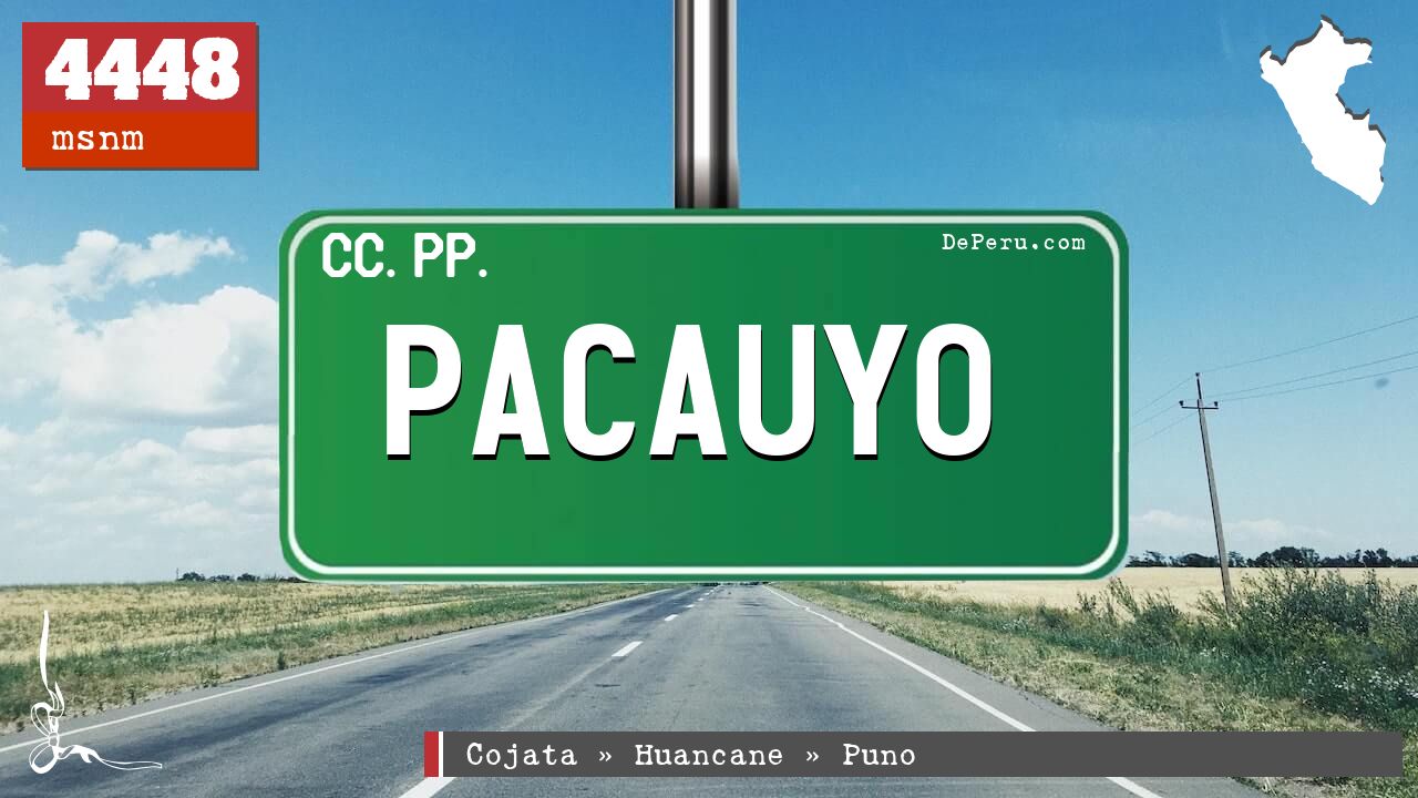 PACAUYO