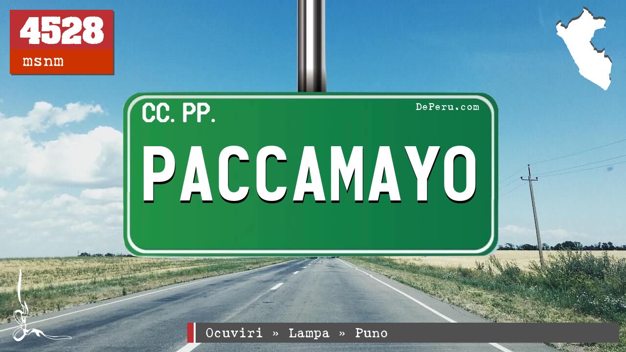 Paccamayo