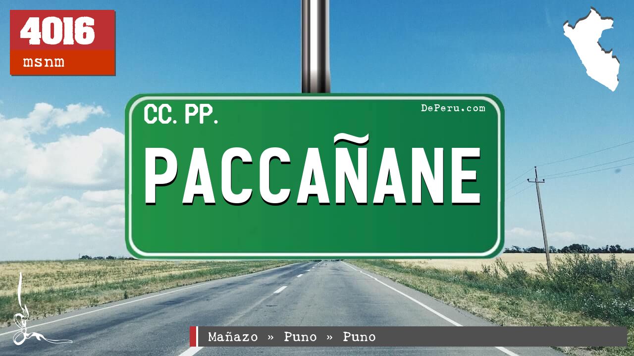 Paccaane