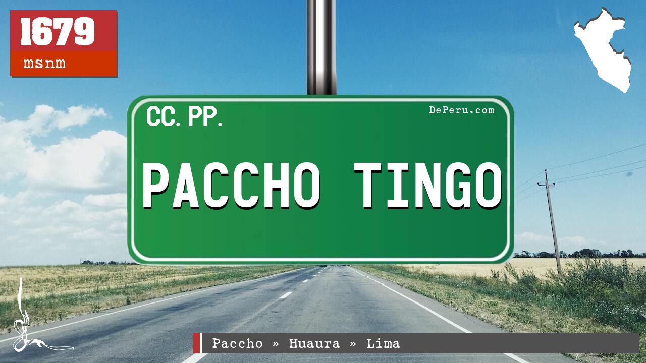 Paccho Tingo