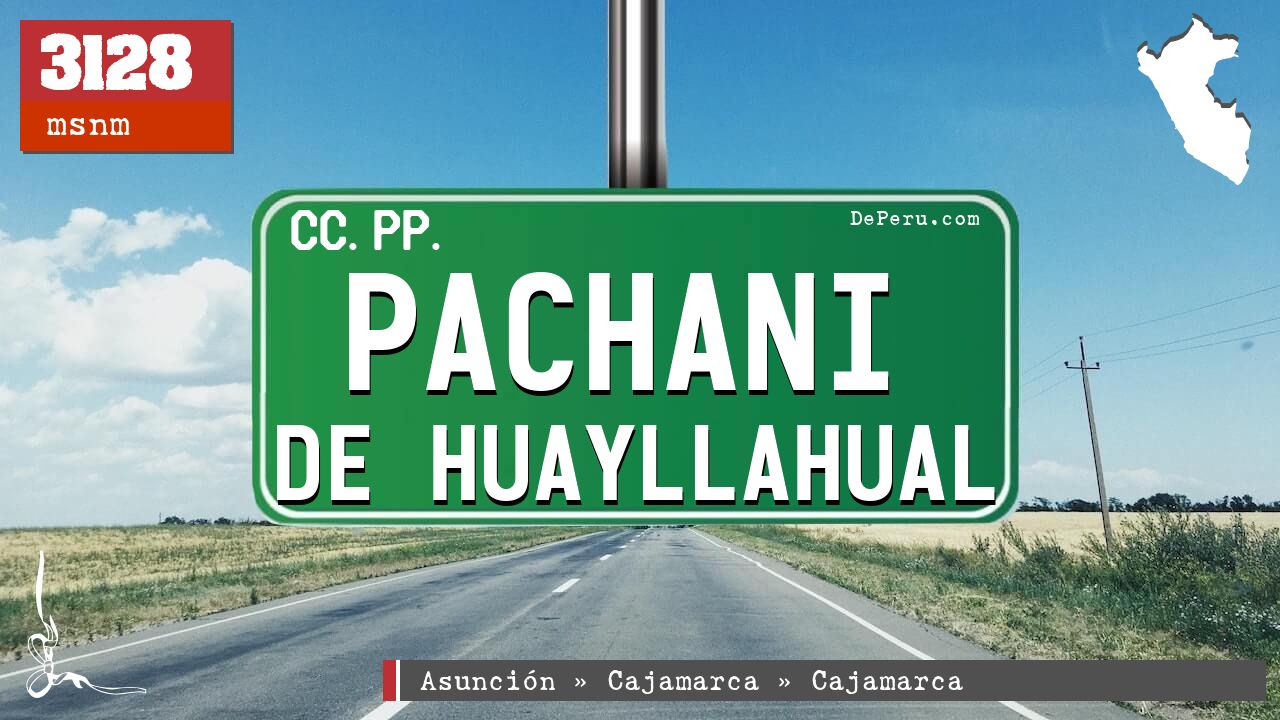 Pachani de Huayllahual