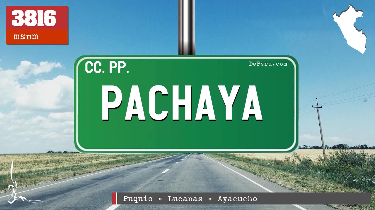 PACHAYA