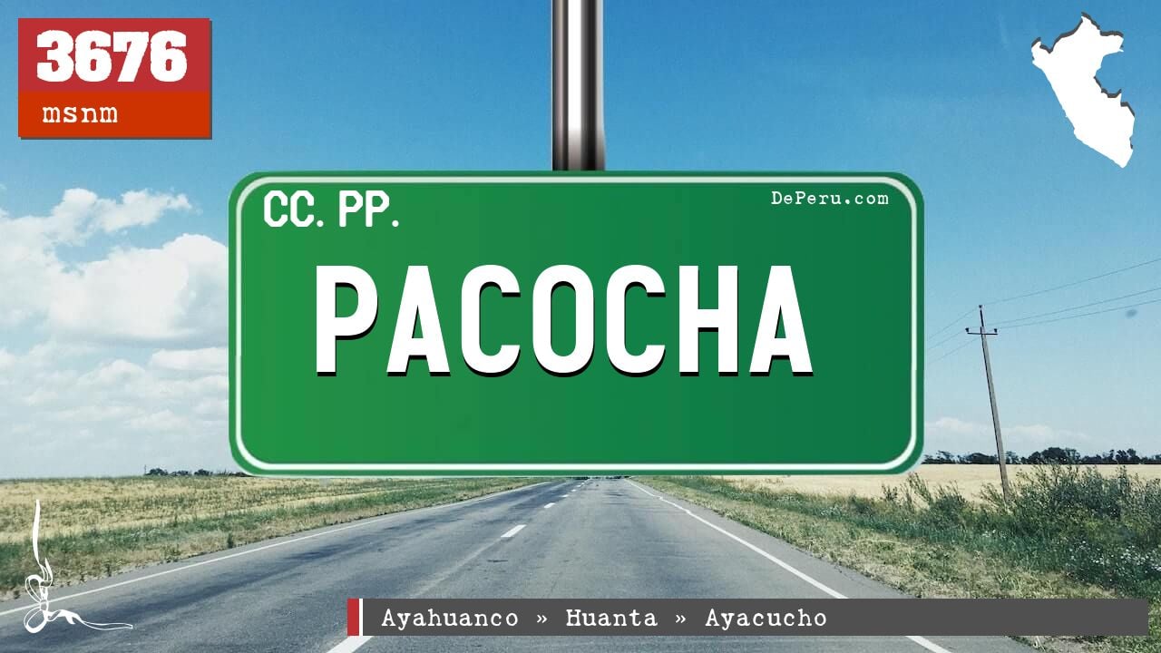 Pacocha