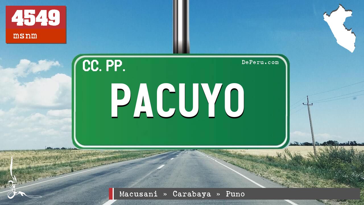 Pacuyo