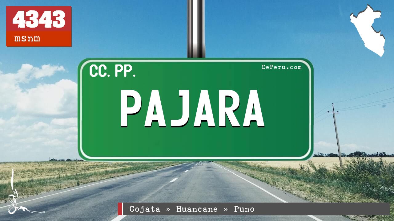 PAJARA