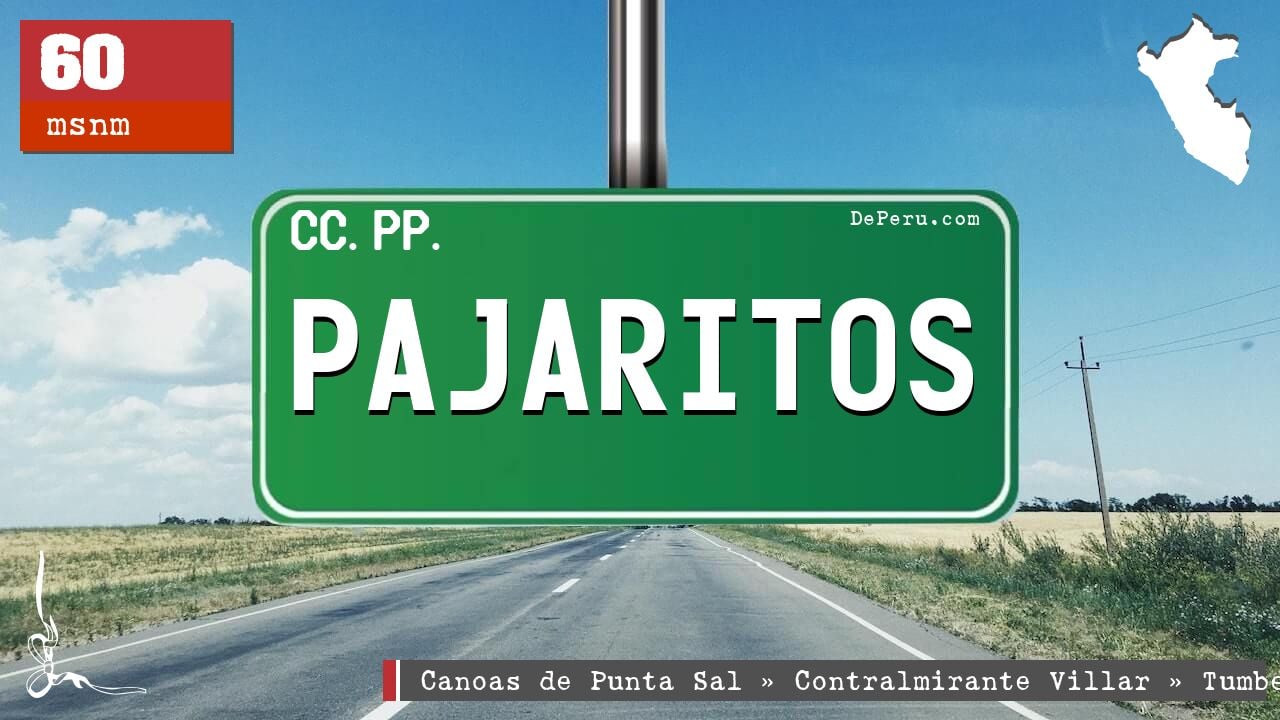 PAJARITOS