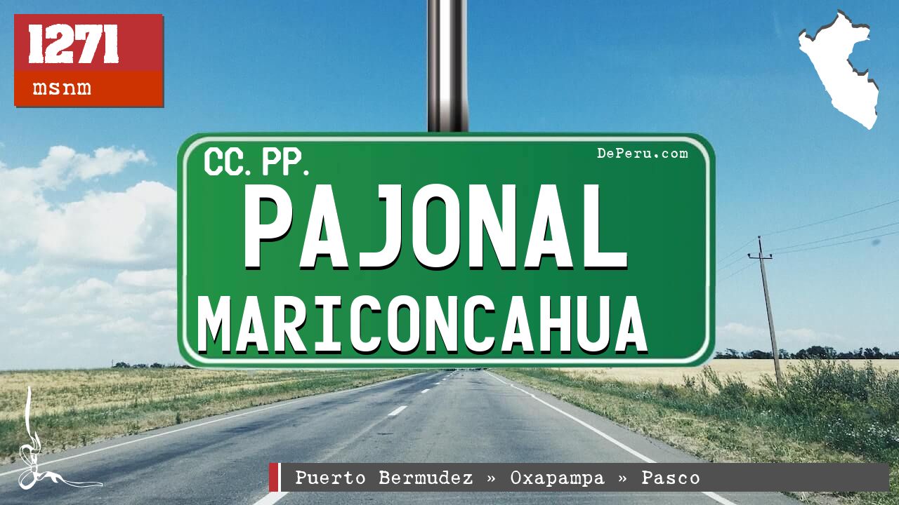 Pajonal Mariconcahua
