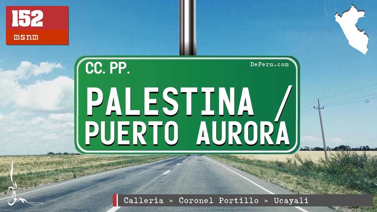 Palestina / Puerto Aurora