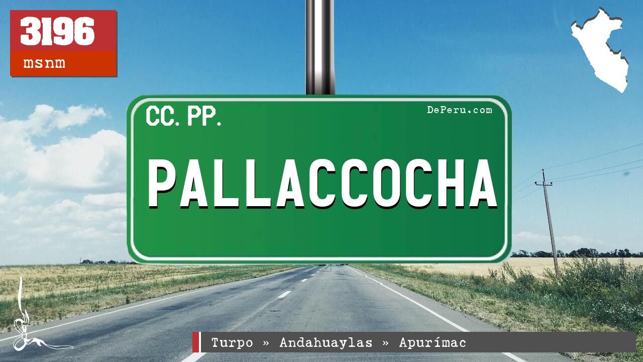 PALLACCOCHA