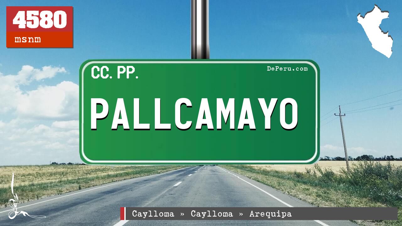 Pallcamayo