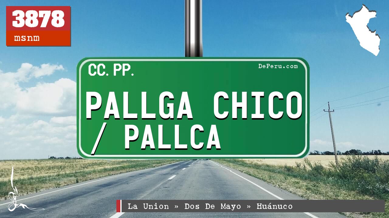 Pallga Chico / Pallca