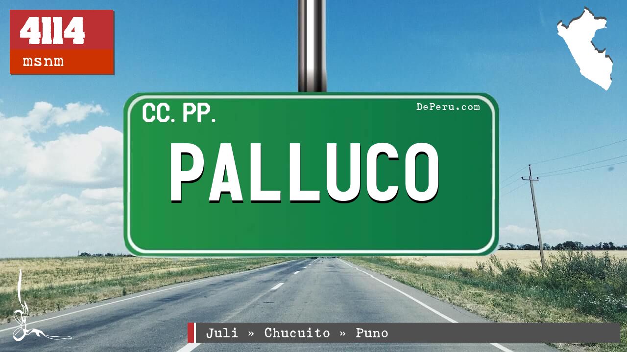 Palluco