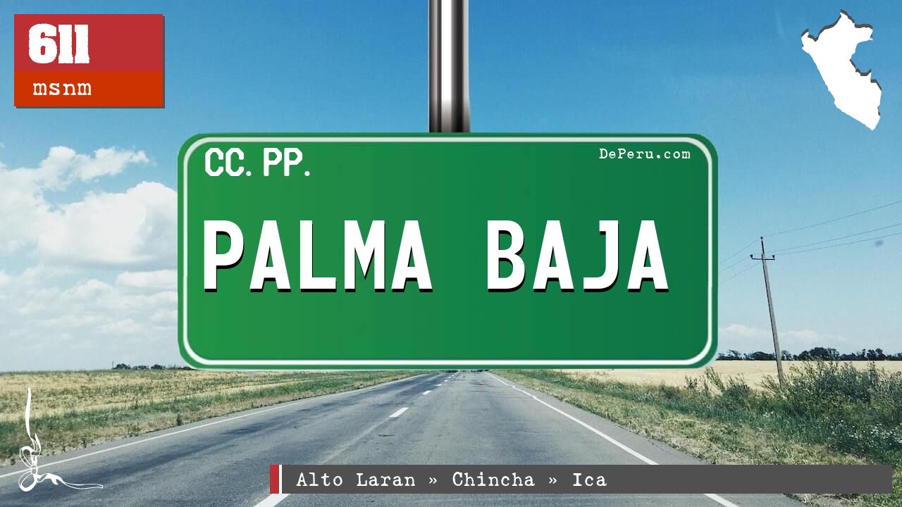 PALMA BAJA