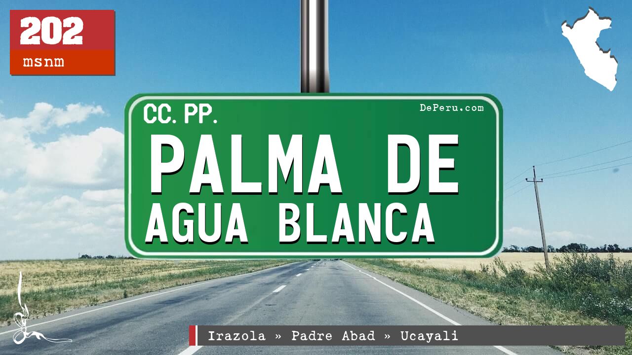 Palma de Agua Blanca