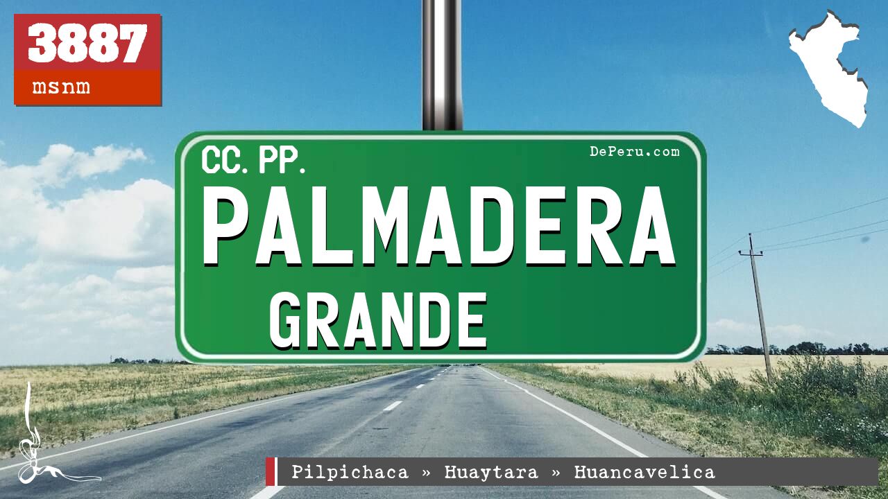 Palmadera Grande