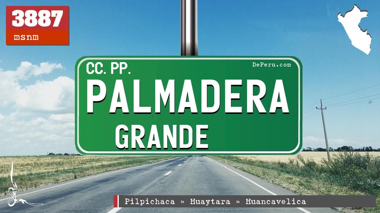 PALMADERA