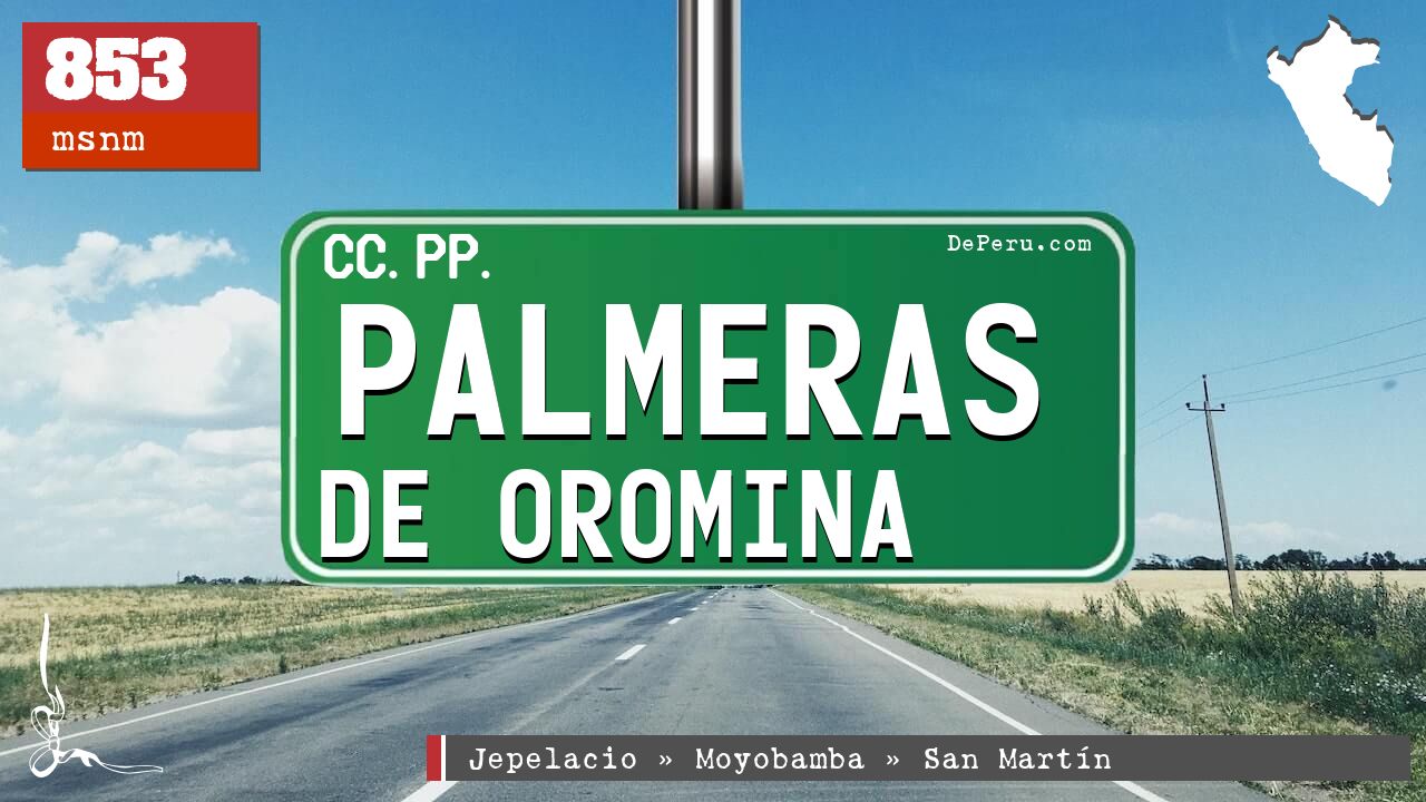 Palmeras de Oromina